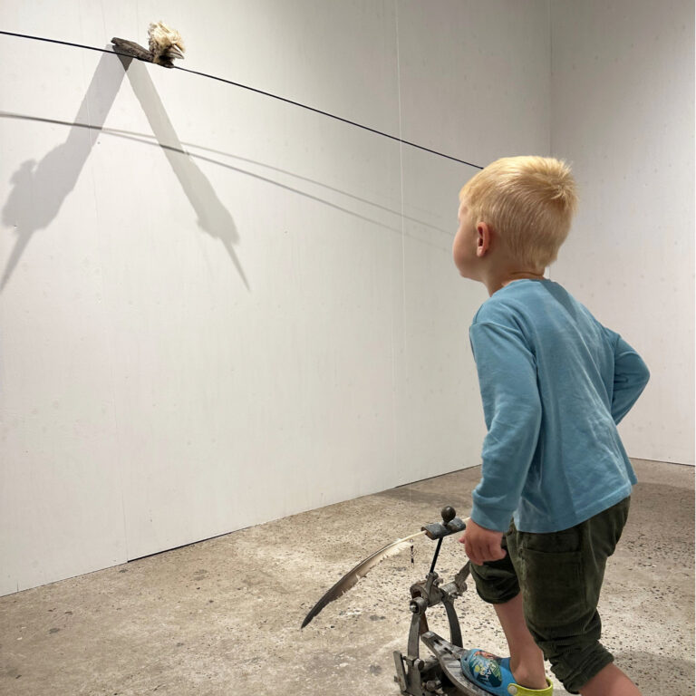 Laat een meeuw vliegen